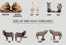 Lade das Bild in den Galerie-Viewer, Postkarten-Set - Tiere, die man leicht verwechselt
