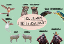 Lade das Bild in den Galerie-Viewer, Postkarten-Set - Tiere, die man leicht verwechselt
