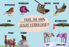 Lade das Bild in den Galerie-Viewer, Postkarten-Set - Tiere, die man leicht verwechselt
