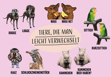 Lade das Bild in den Galerie-Viewer, Postkarten-Set - Tiere, die man leicht verwechselt
