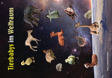 Lade das Bild in den Galerie-Viewer, Postkarten-Set Luksan Wunder Memes (6-teilig)
