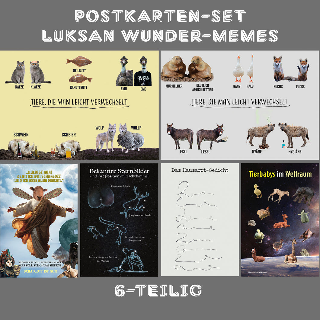 Postkarten-Set Luksan Wunder Memes (6-teilig)